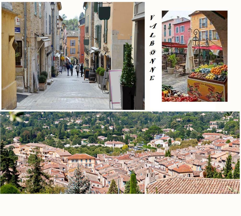 Les Chenes Verts Valbonne Bagian luar foto